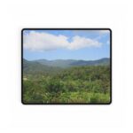 Nature x Sky - Image 5